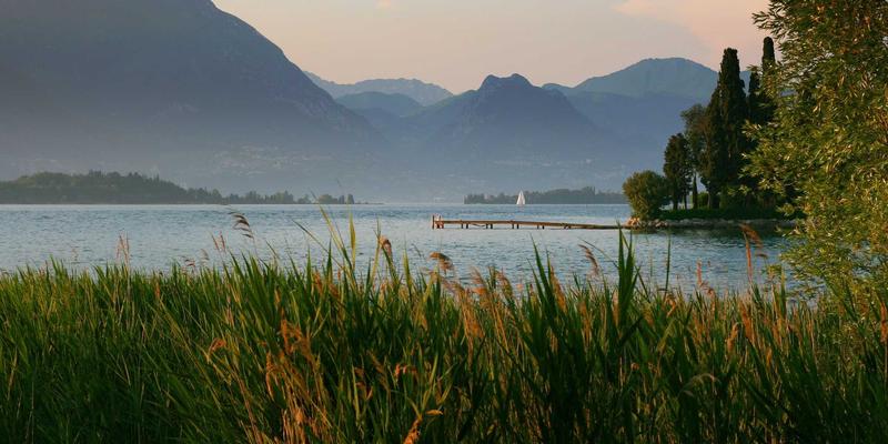 从家庭到办公室:专业家政服务的核心技巧与效率提升指南