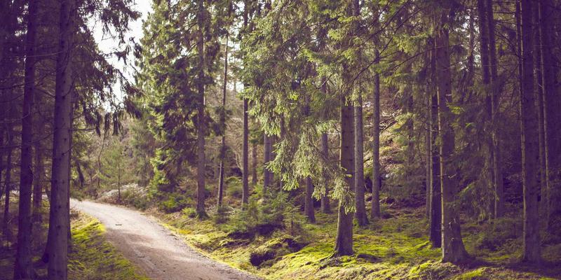 保洁清洗新纪元：日式保洁如何重塑办公室环境标准