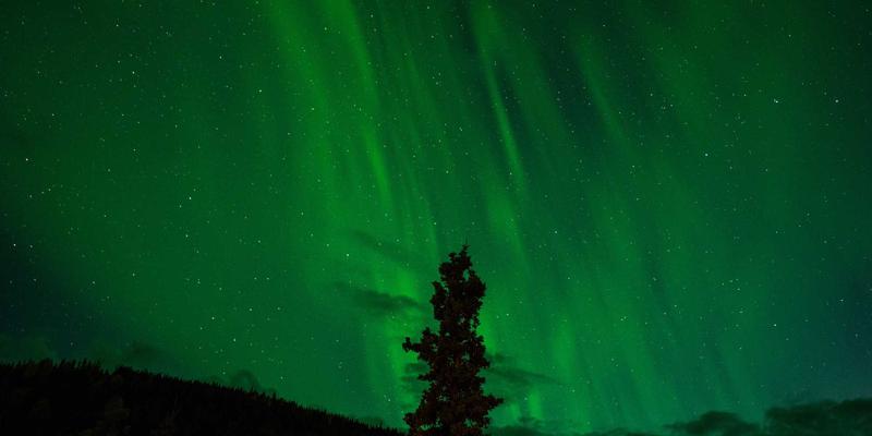 办公室保洁、开荒保洁如何选?幸福宝洁揭秘专业家政服务的三大核心价值