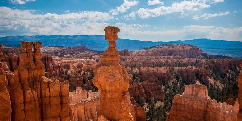 家政服务是什么？深度解析现代家庭必备的“幸福生产力”