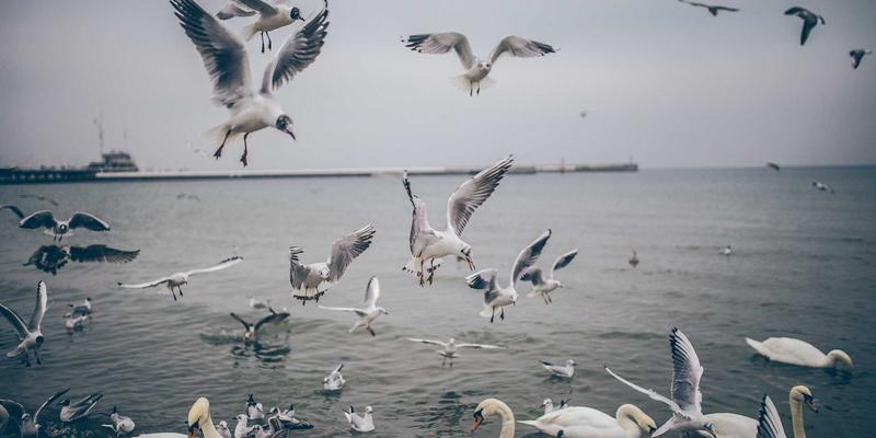 日式保洁、开荒保洁签约必读:三招避开家政合同陷阱,守护您的权益