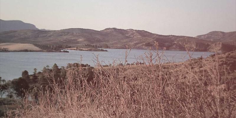 深度清洁与日式保洁必备指南:巧用家政保险,规避服务风险与财产损失