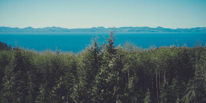 看不见的健康威胁:空调、油烟机、洗衣机深度清洗全攻略,告别无效保洁